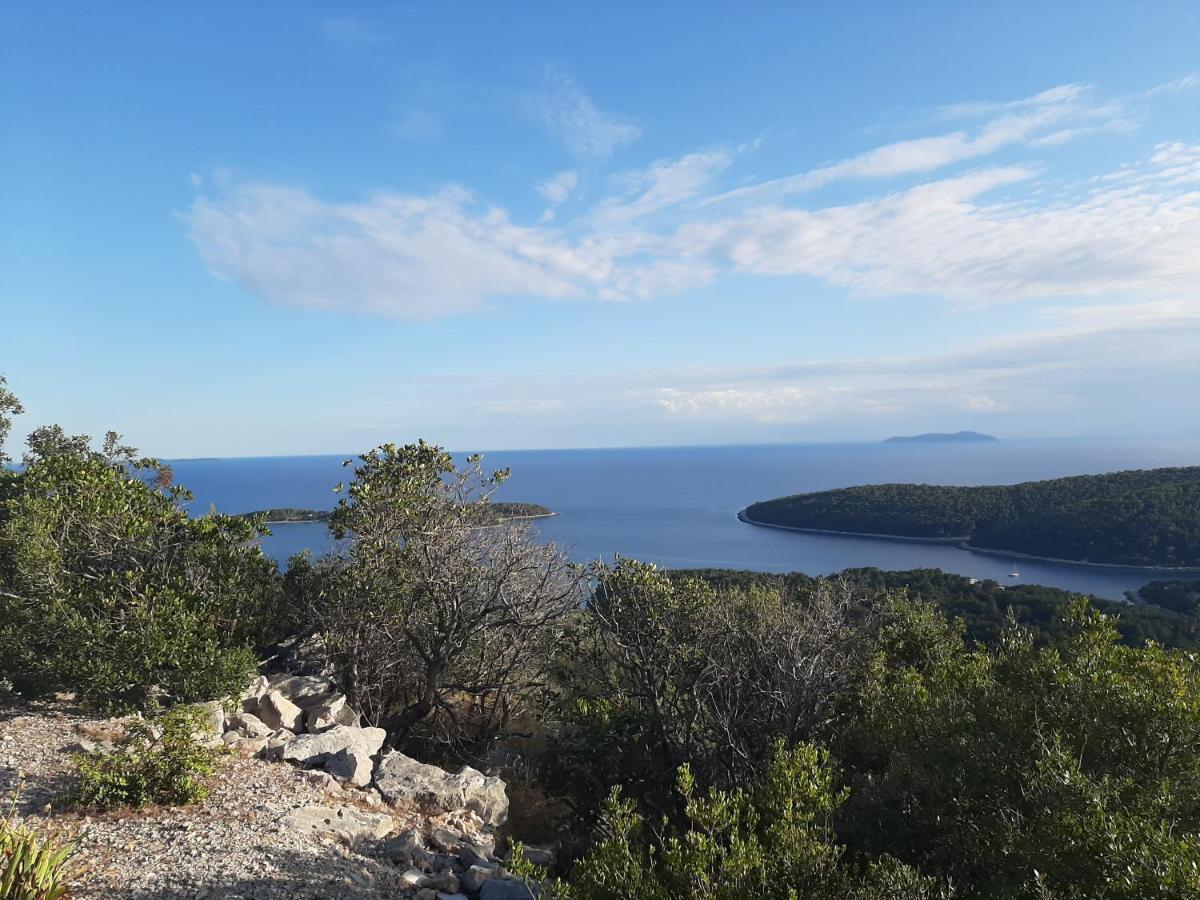 Triporte Vela Luka