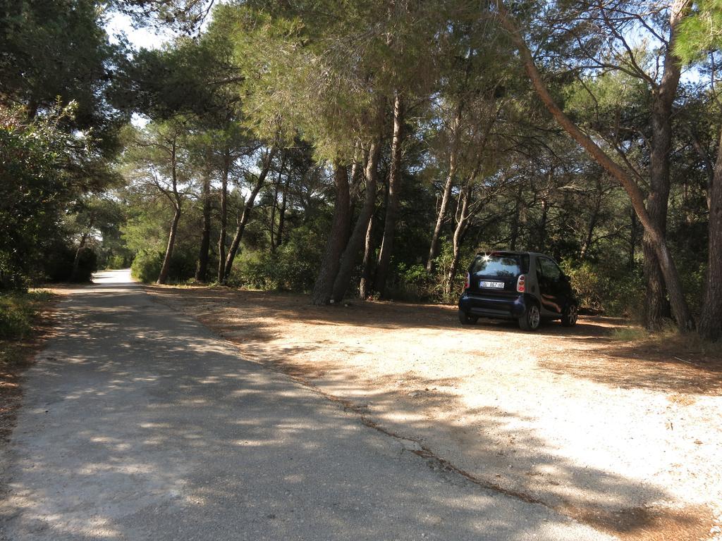 Triporte Vela Luka